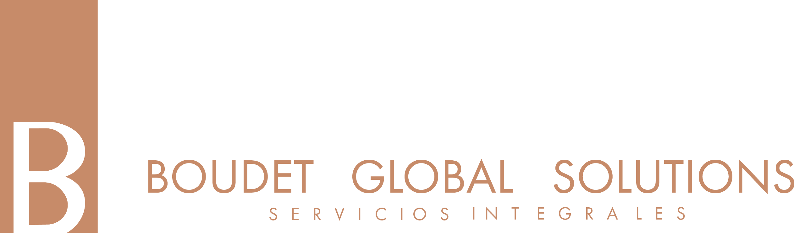 Boudetglobal