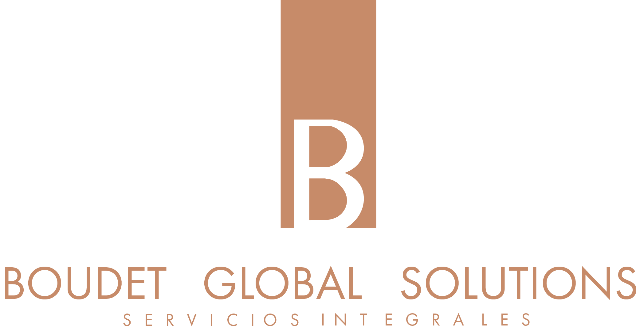 Boudetglobal